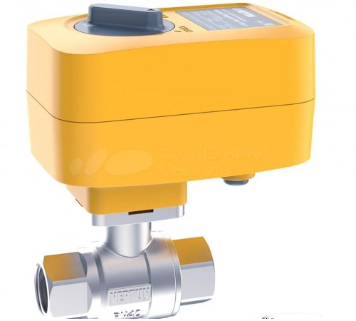 Кран с электроприводом NEPTUN PROFI 220B 1"