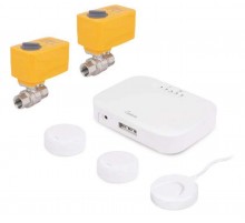 Система защиты от протечек воды 1 +TUYA (4/1)  ZEISSLER