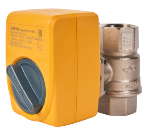 Кран с электроприводом NEPTUN Buggati Pro 220 в 3/4