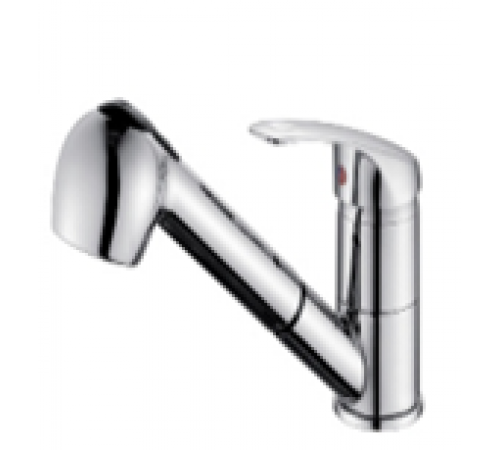 Смеситель для кухни выдвижной Wassernova 24204